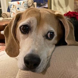 Meet your Posher, Cathryn